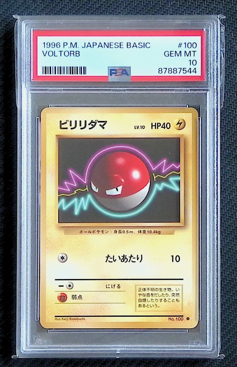 美品【PSA10】 ポケモンカード ビリリダマ 旧裏 鑑定品