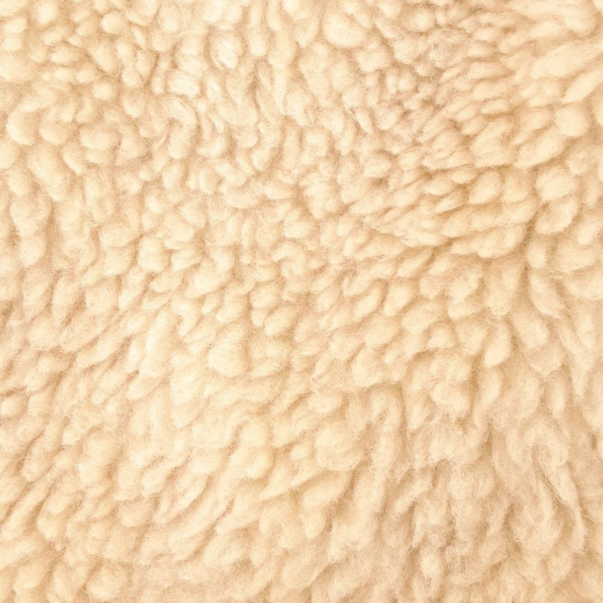 パタゴニア