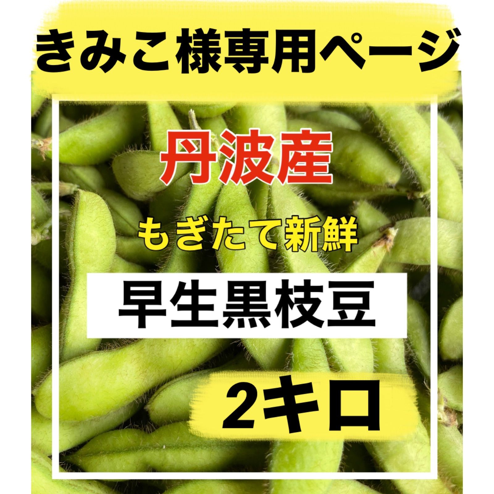 その他 えだまめ様 専用