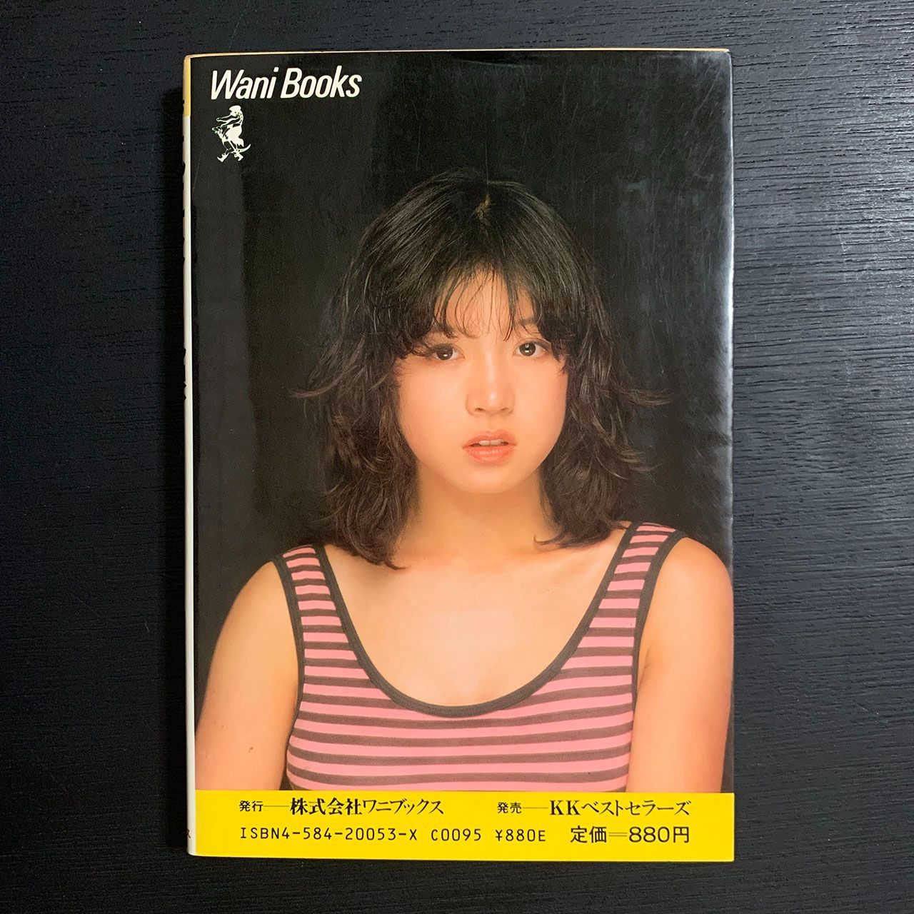 送料込 中森明菜 気になる視線 ワニブックス - アート 