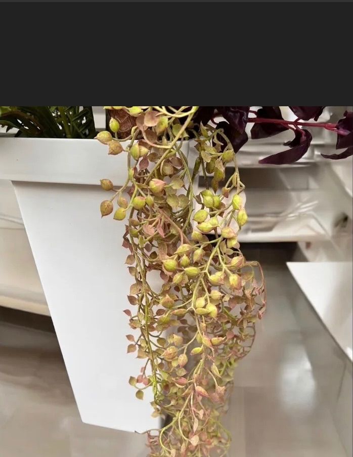 人工観葉・フェイクグリーン 光触媒 人工観葉植物 ウォールグリーン 