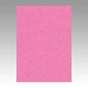 まとめ 色画用紙 文運堂 ニューカラーＲ 桃色 4NCR-242 4954022642426 1冊 ×5セット