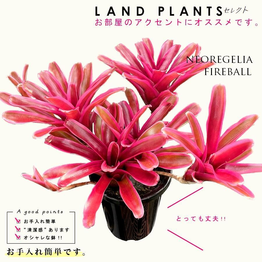 極上カシミヤ 絹 麻 コルネリアーニ グレンチェック ダブル ブレザー 50