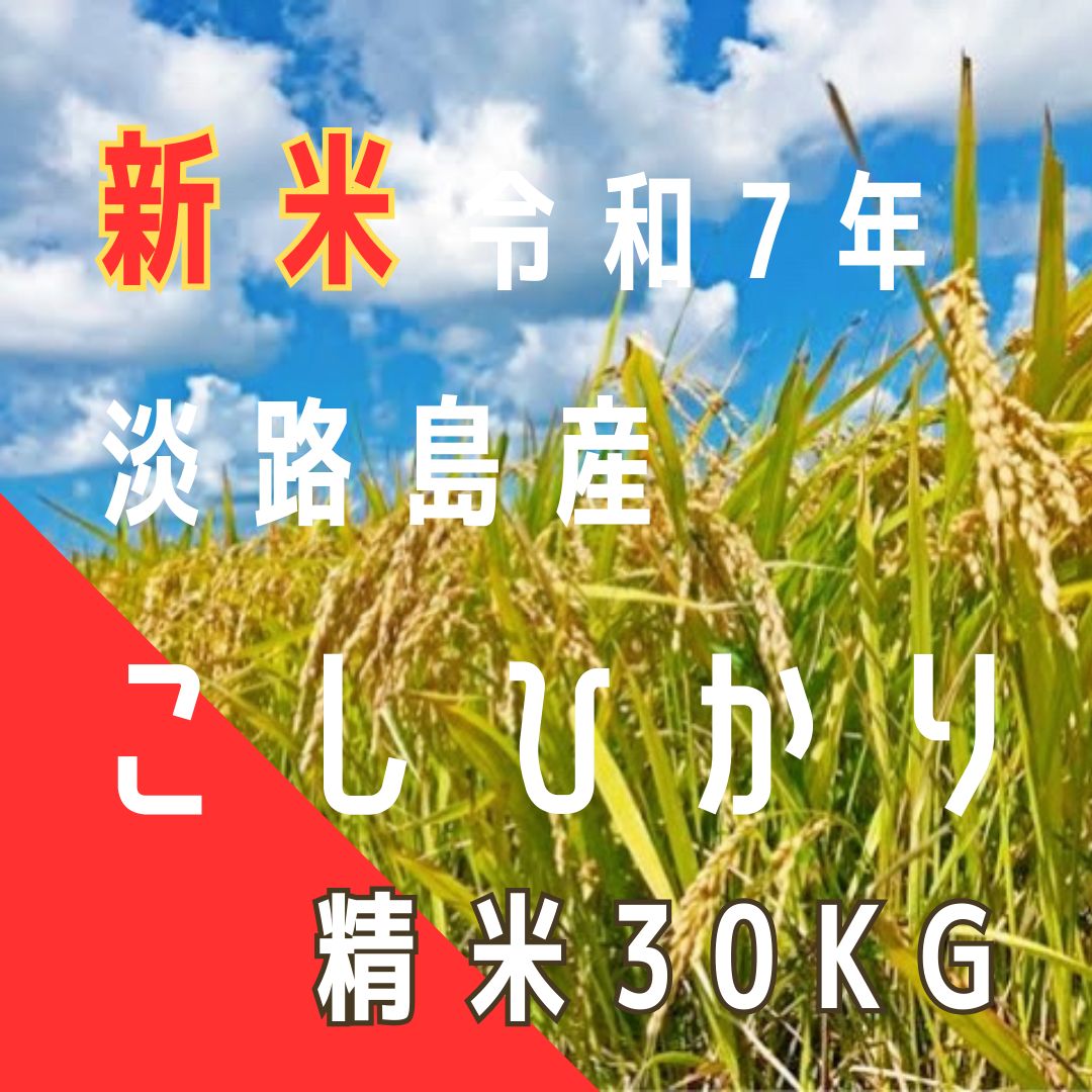 新米 令和7年産 こしひかり 精米30キロ 淡路島産 産地直送