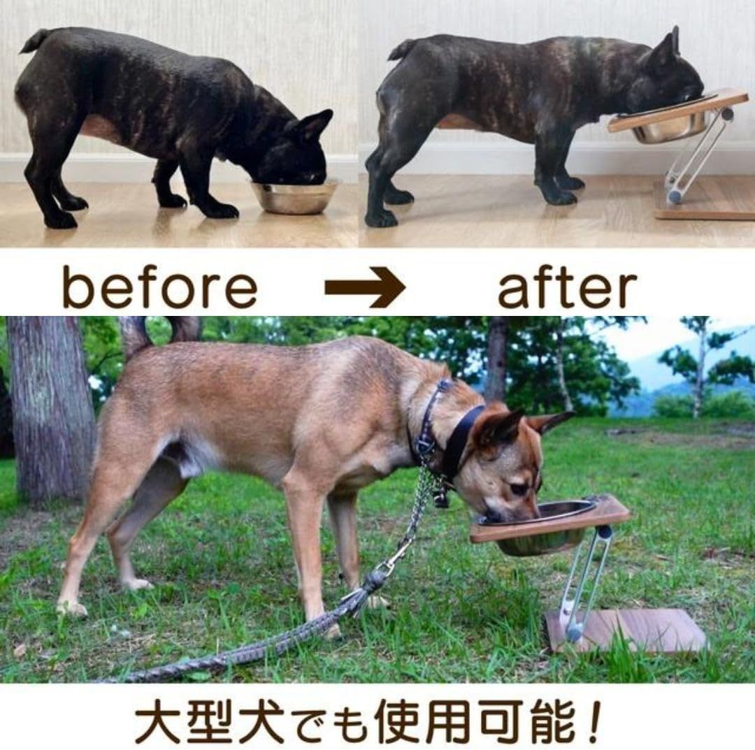 深皿付き