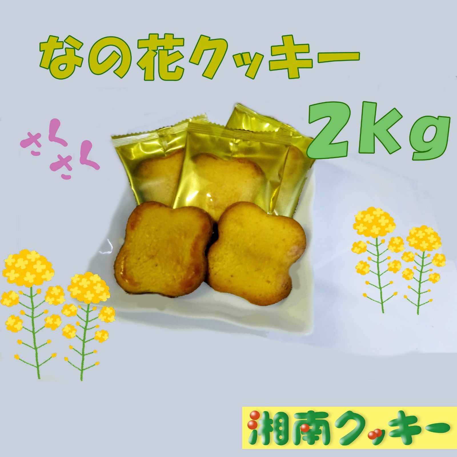 湘南クッキー じゃこ瓦 大特価 - 菓子