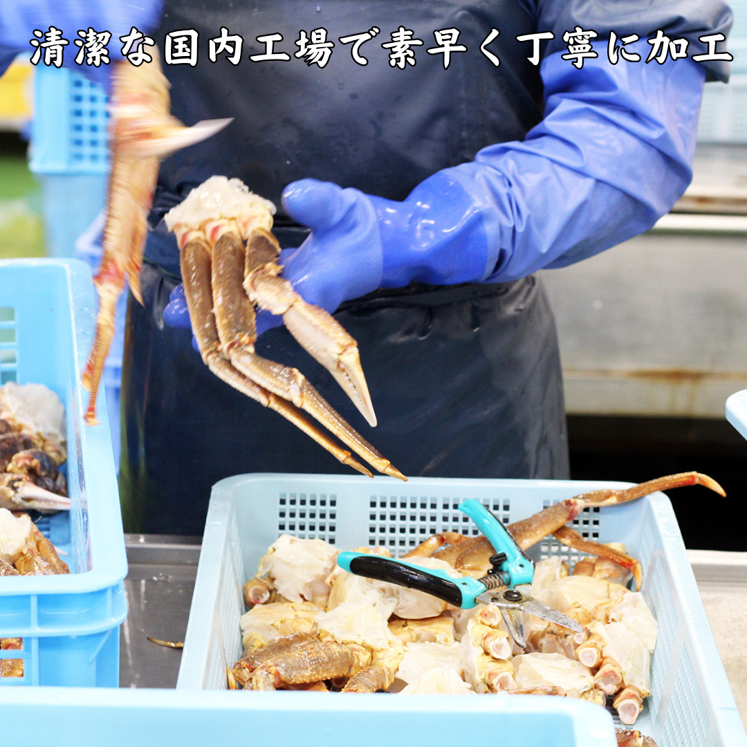 確かな品質【魚六商店】超特大５Ｌ【大満足のたっぷり３kg】6～8肩分　生ズワイガニ【安心の国内工場加工】かに カニ ずわいがに 蟹 冬ギフト ギフト 贈り物 かに足 魚六商店