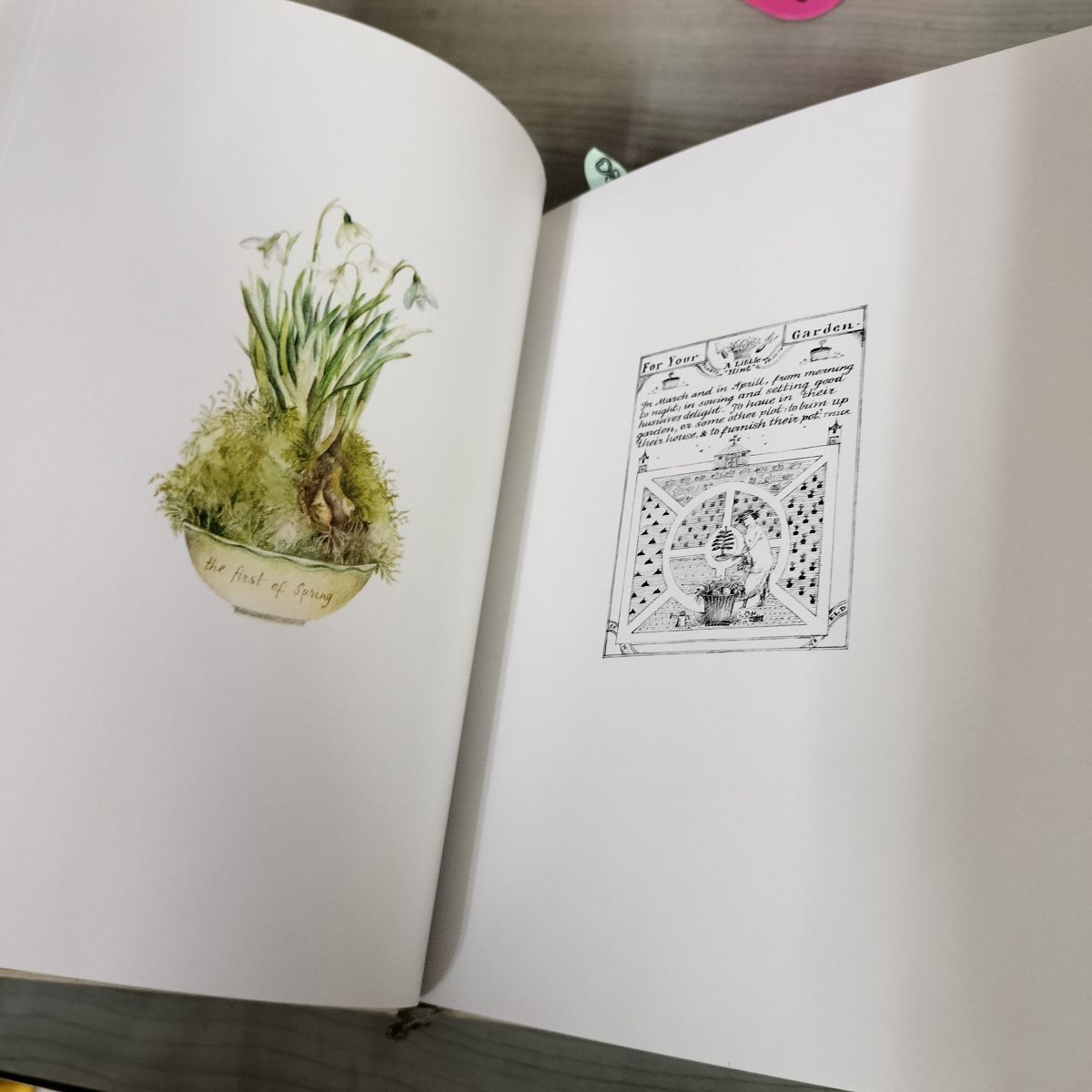 2冊セット サラ・ミッダのガーデンスケッチ 訳者 橋本槇矩 110032