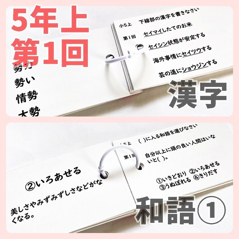 中学受験 暗記カード【5年上 セット 社会・理科 1-9回】組分け
