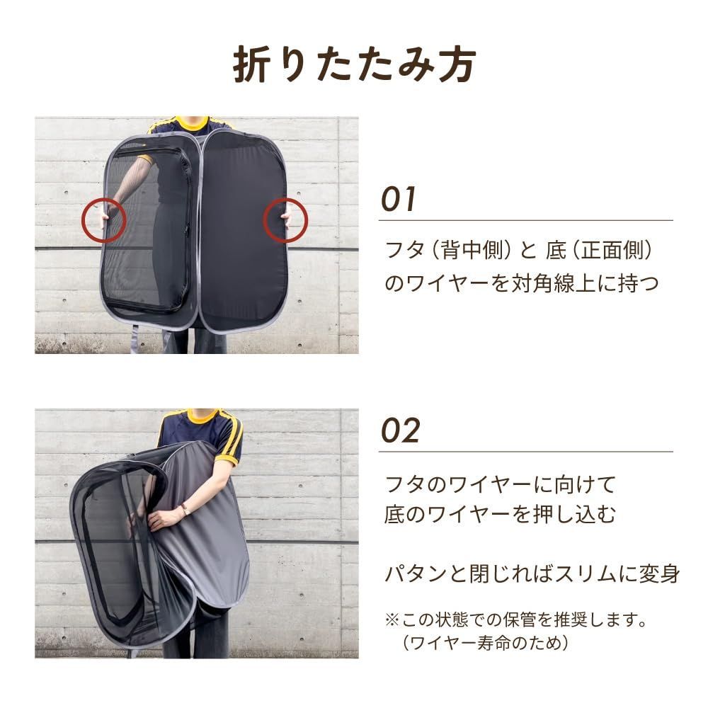 カラス
