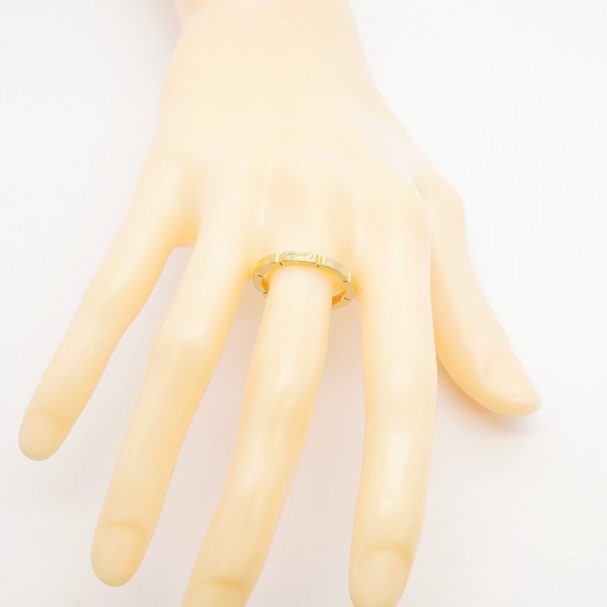 マイヨンパンテール