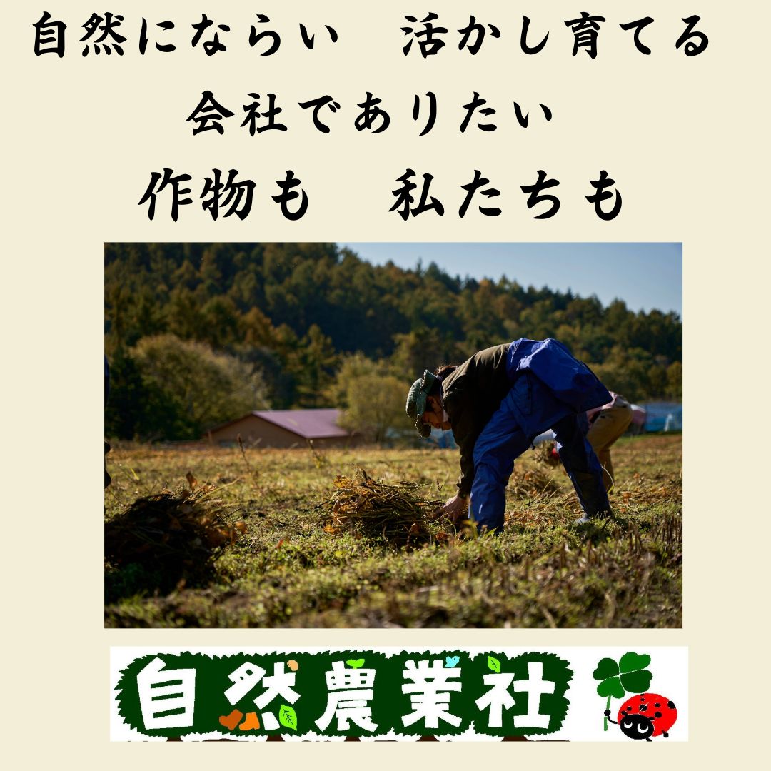 有機黒豆（1kg×5） 農薬・化学肥料・除草剤不使用 北海道産いわい