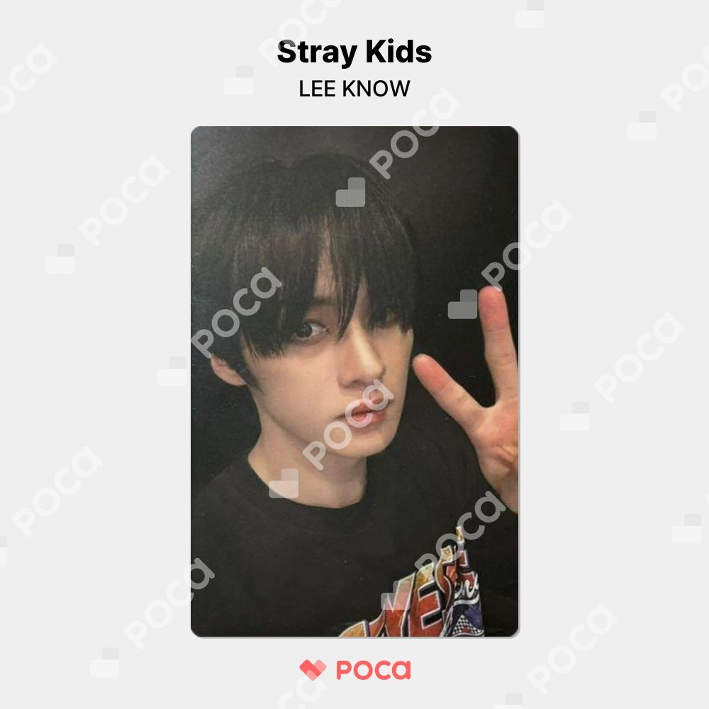 straykids リノ スキズ トレカ 樂-STAR ROCK-STAR SOUNDWAVE