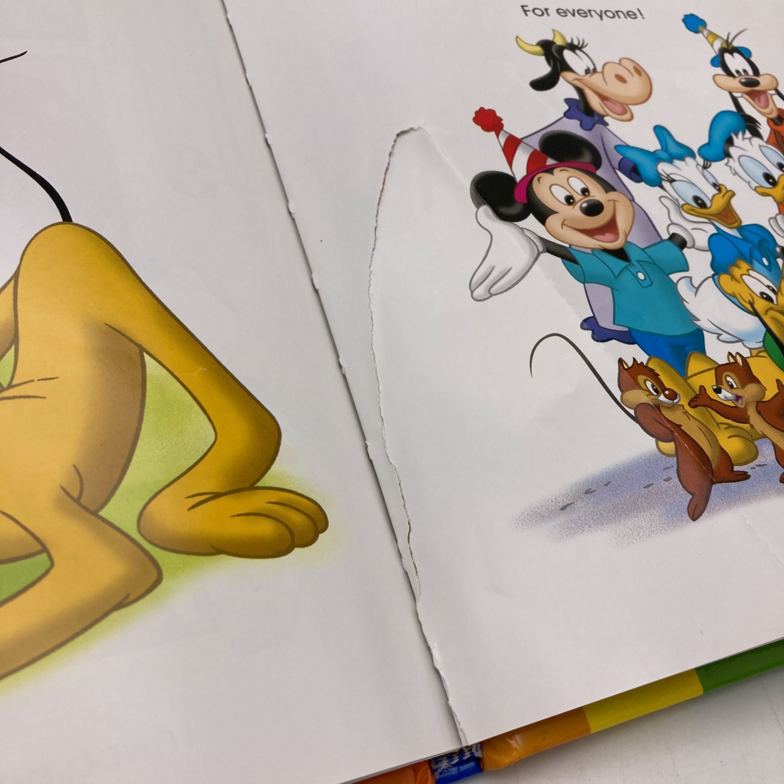 2018年購入 メインプログラムセット 絵本 CD DVD24枚 新子役 字幕あり ディズニー英語システム DWE Disney ワールドファミリー  中古 1201821 - メルカリ