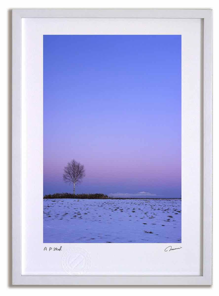 二台セット‼️フェイクガス暖炉ノーマルタイプ LPガス プロパン二台で