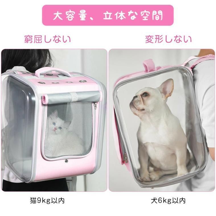 犬