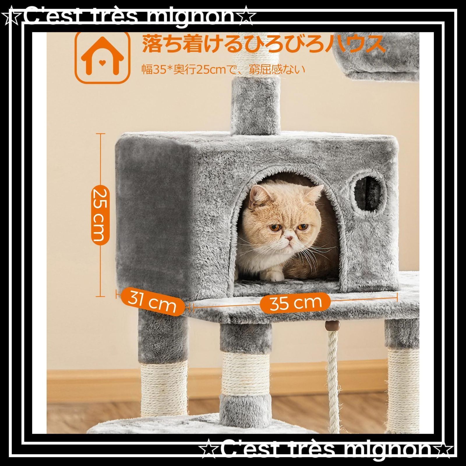 人気 多頭飼い