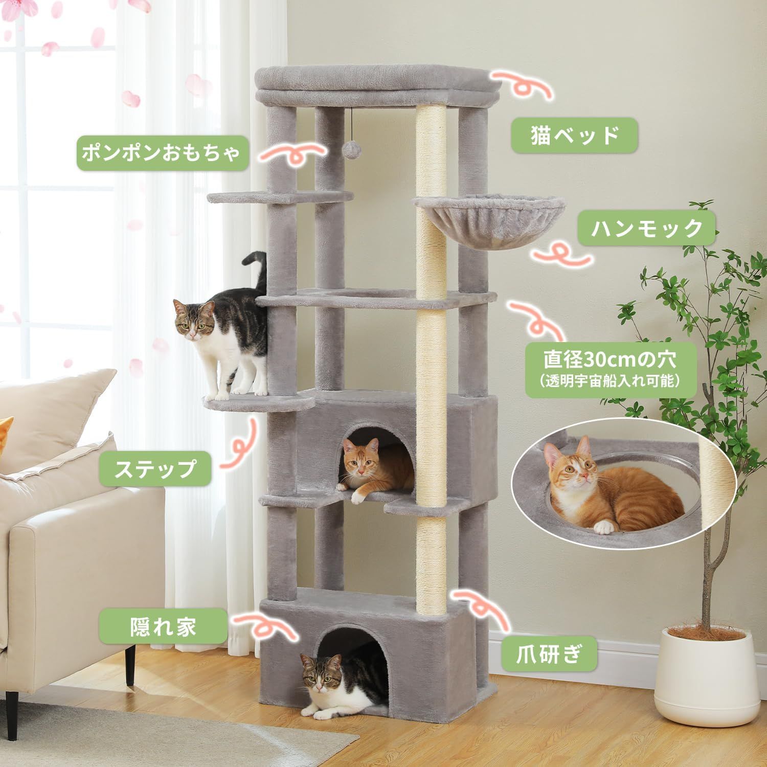 大型猫用