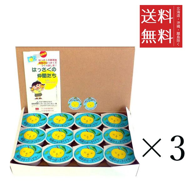 広島果実連 因島農協 はっさくゼリー 24個×3箱セット まとめ買い 銘菓 ご当地 お土産 ゼリー 人気 八朔 送料無料