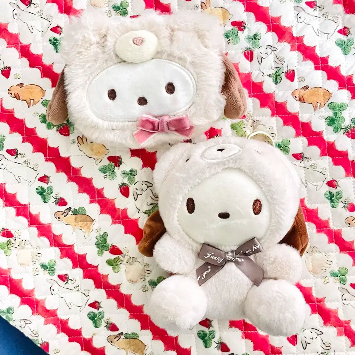 サンリオ ポチャッコ マスコットホルダー ラテクマ 【公式通販】