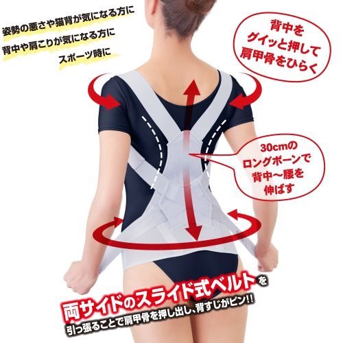 雑貨 | 株式会社アルファックス | お医者さんの R がっちり背すじベルト L-LL
