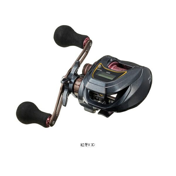注文 ≪'19年8月新商品！≫ ダイワ 紅牙 X IC