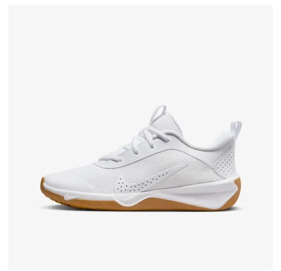 NIKE ナイキ 全て マルチコート テニスシューズ