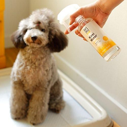 エーピーディーシークリア A.P.D.C. CLEAR APDCクリア キレイウォーター シトラスミント 1L