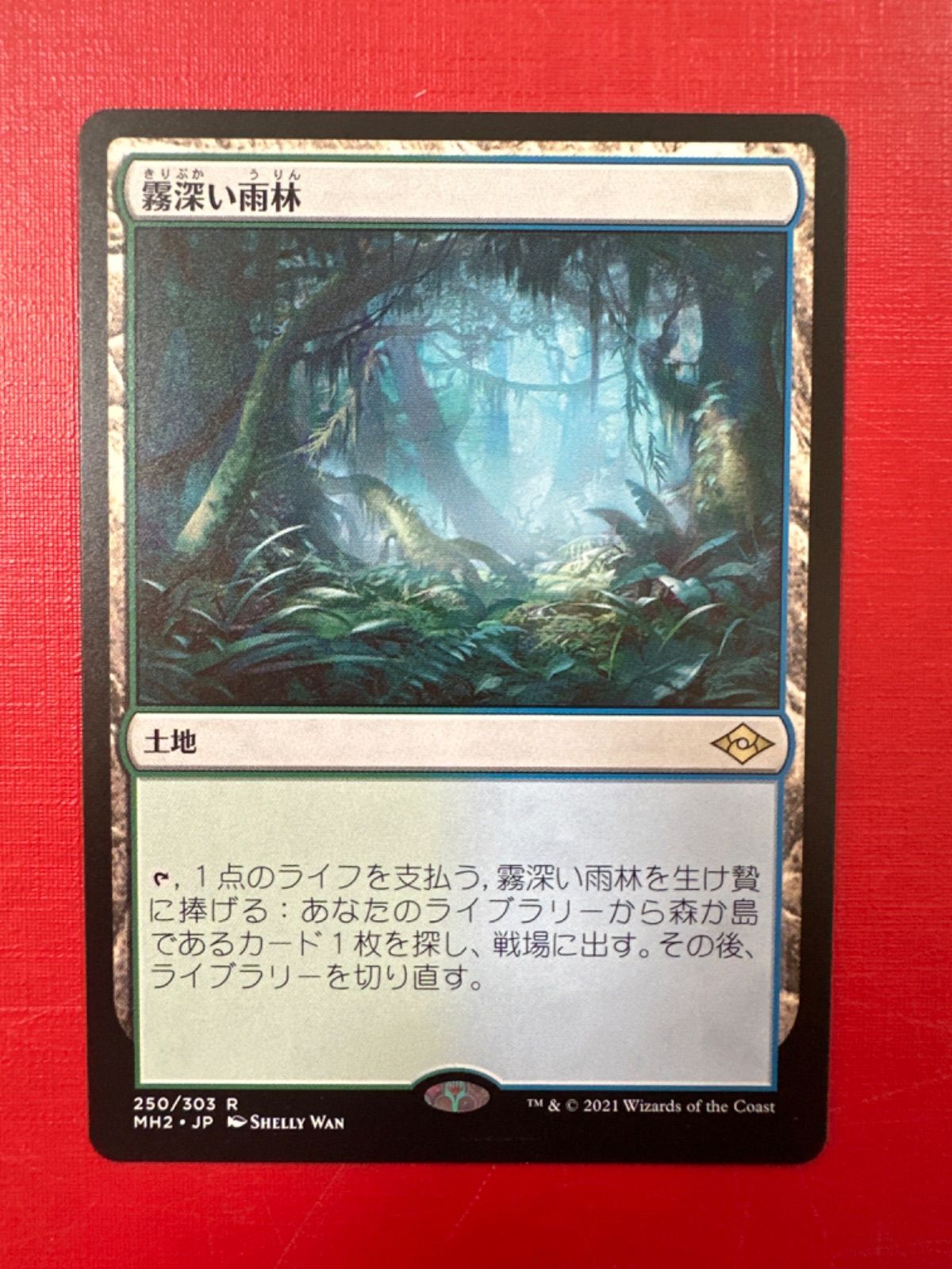 MTG 霧深い雨林 (MH2 JP) - メルカリ