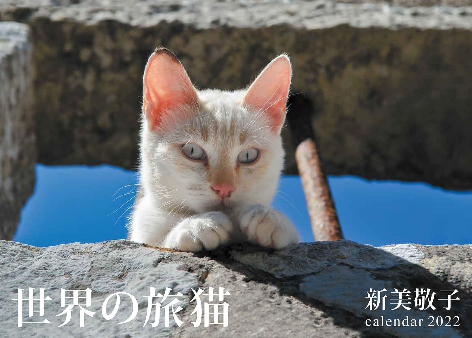 2022カレンダー 世界の旅猫 ([カレンダー])