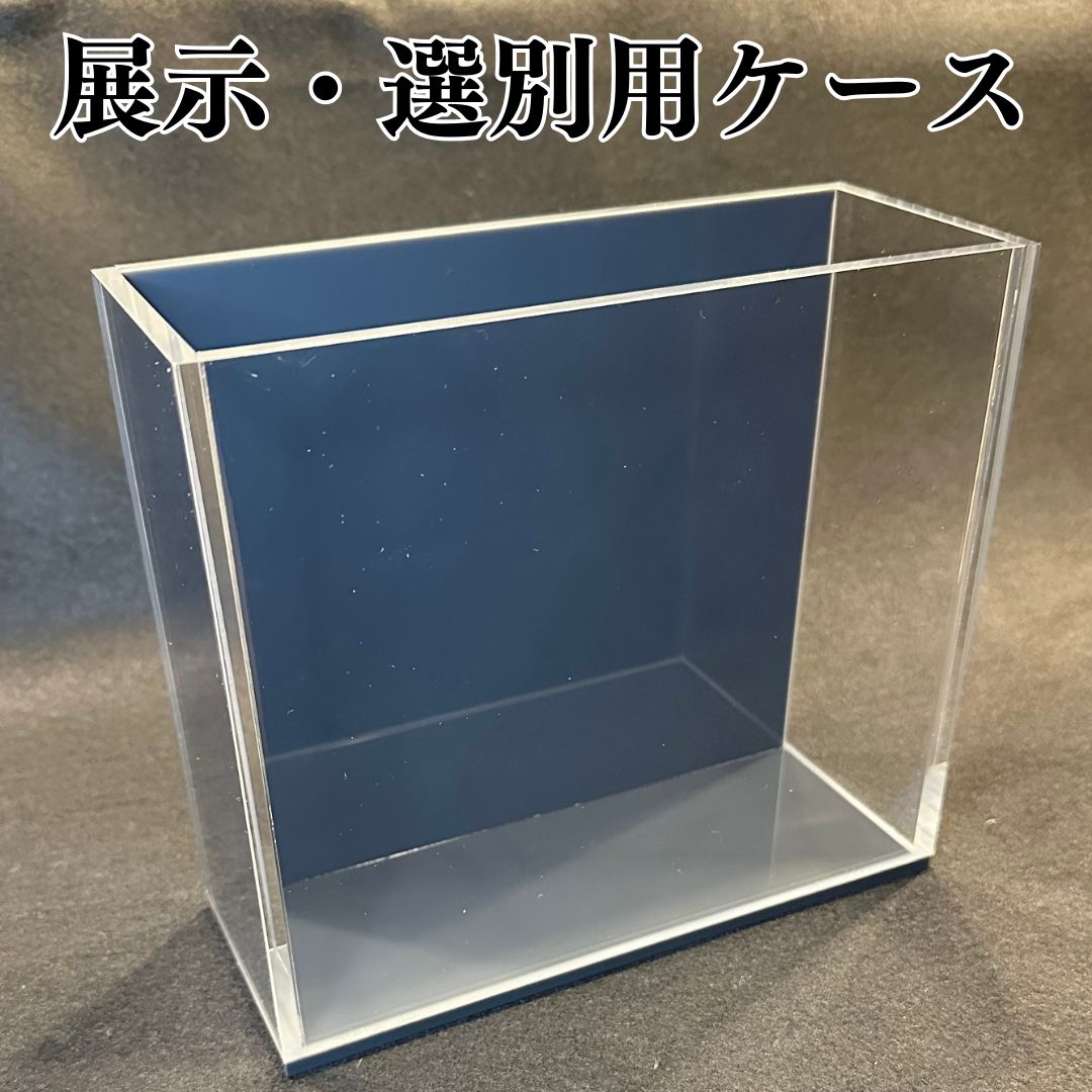 五藤めだか】展示販売AB品(グレー) メダカ用 ケース 撮影 横見 - メルカリ