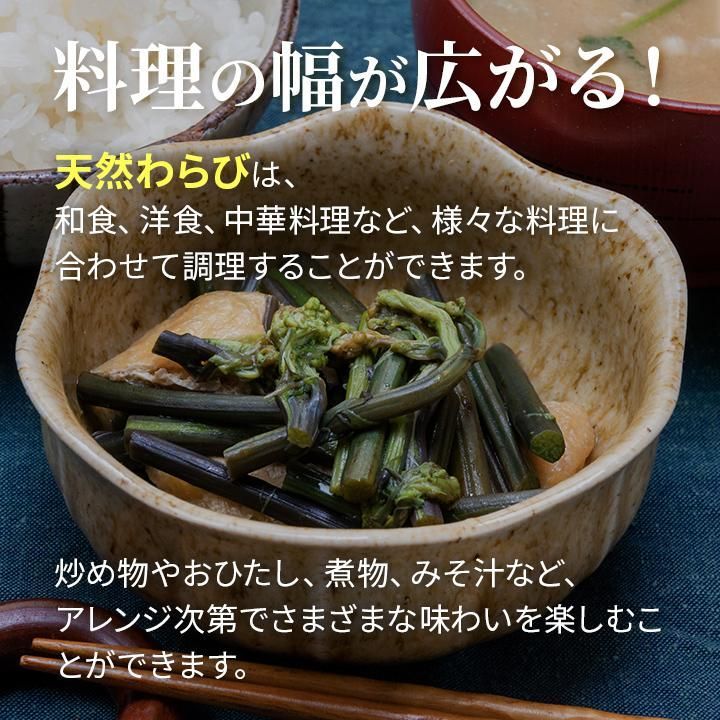 予約商品 山形県産 天然山菜生わらび 飯豊連峰 朝日連峰 朝採り出荷 予約順 5月初旬発送 クール便1ｋｇ