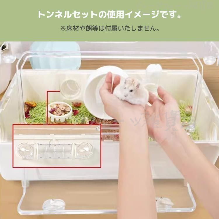 ゴールデンハムスター