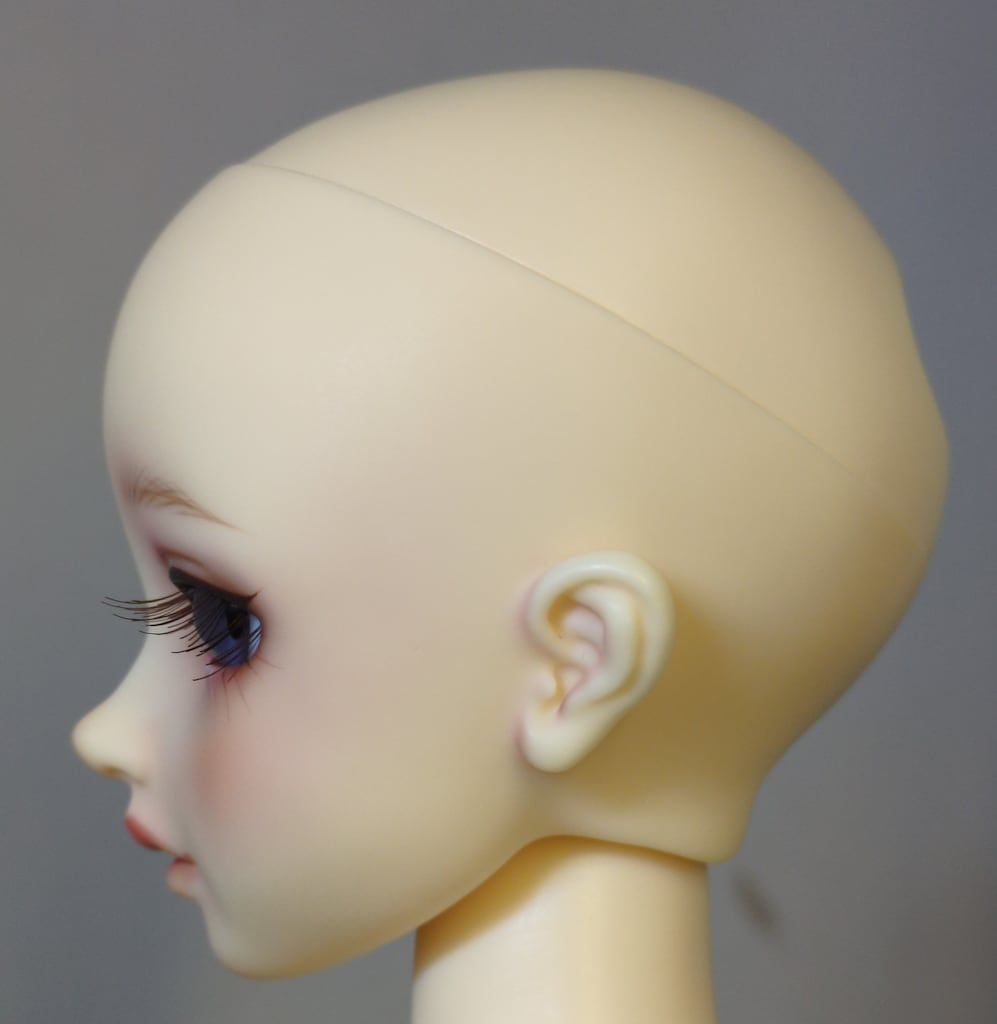 コーディネートモデル F-54