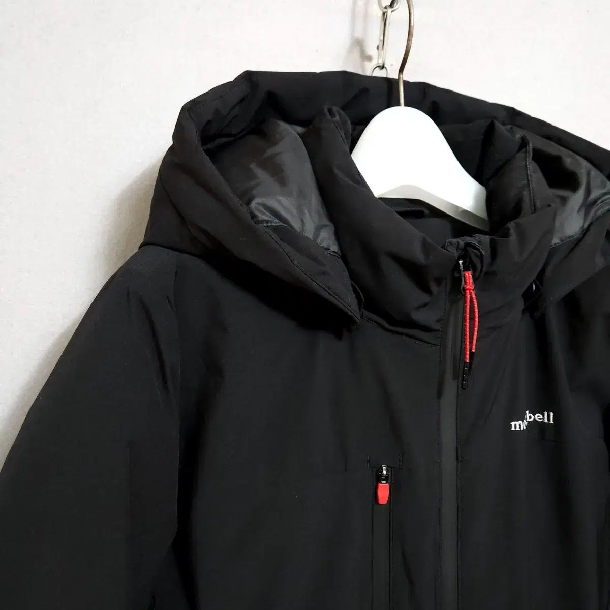 希少❣️Begonia fulgruata ベゴニア フルグラータ 小さめ株 希少