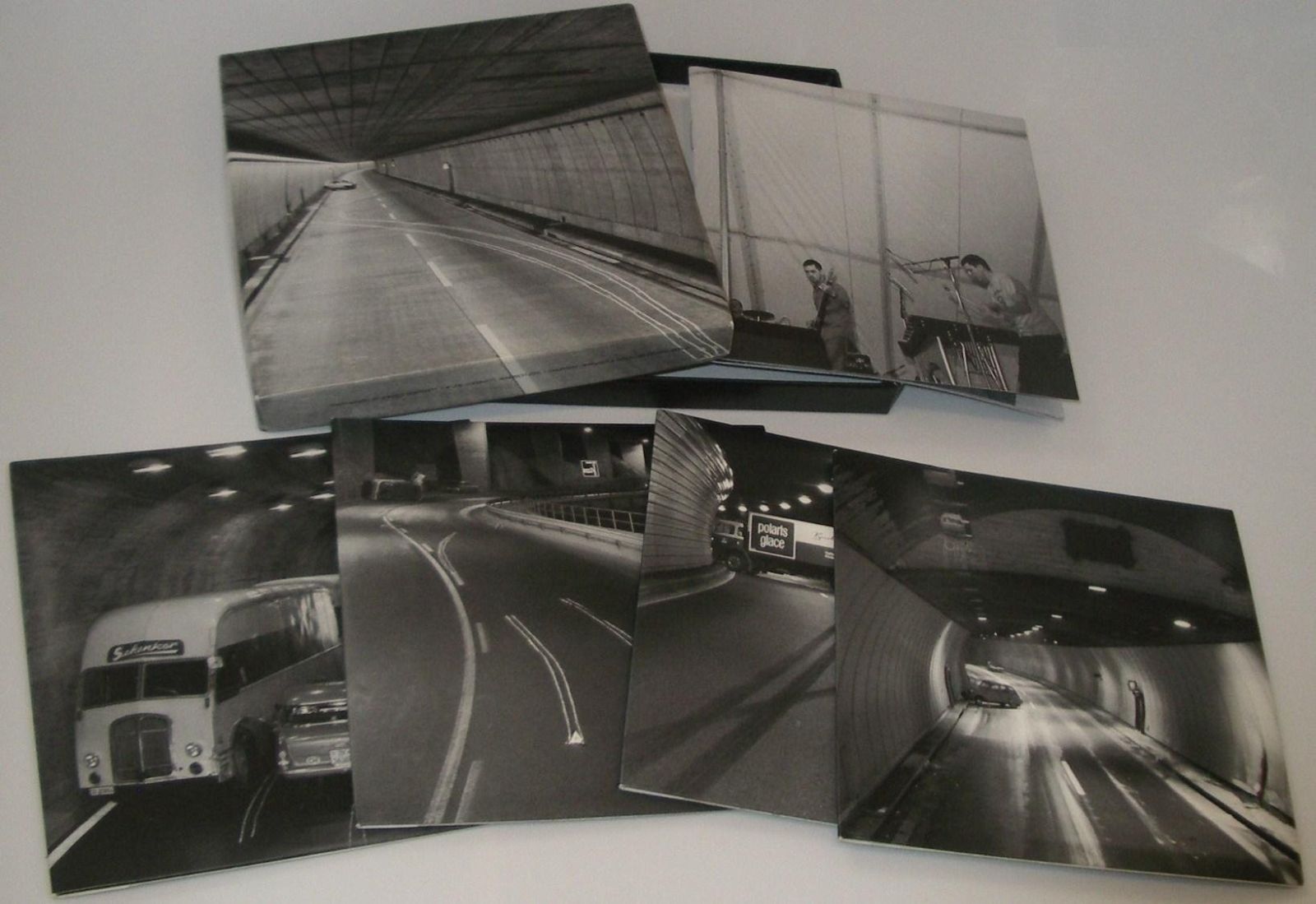 【CD】Lazarus Taxon