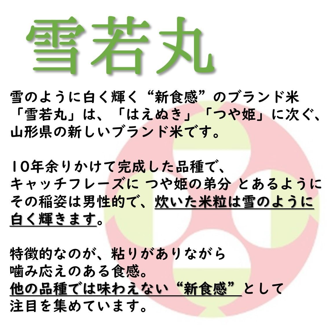 山形県庄内産 雪若丸 玄米25kg Ｇセレクション 特別栽培米 令和５年