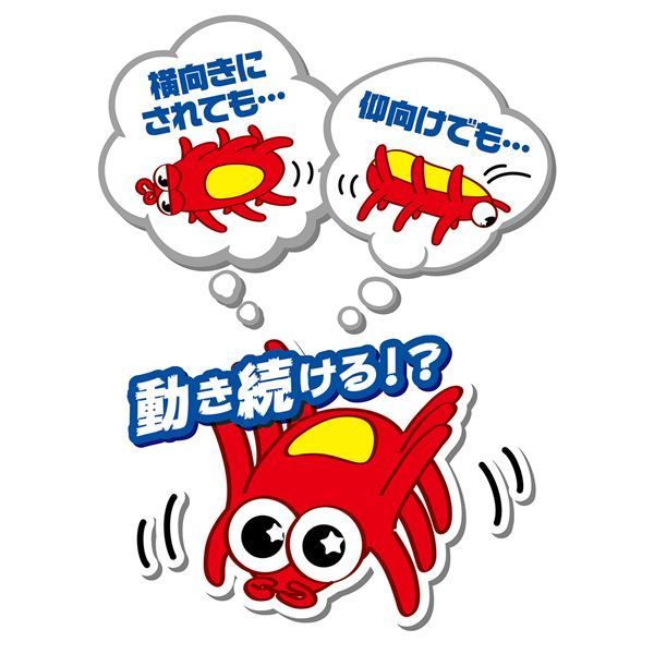 グリーンブラザーズ】ワンデイクレンズセット ワンデイクレンズ セット