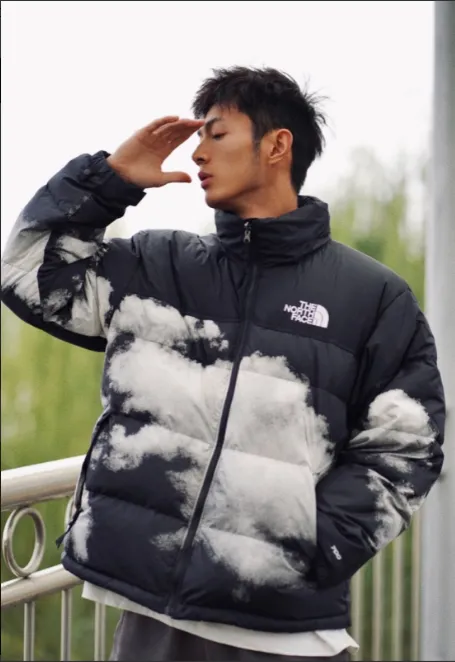 THE NORTH FACE アウター メンズ 冬服 中綿入り ダウン