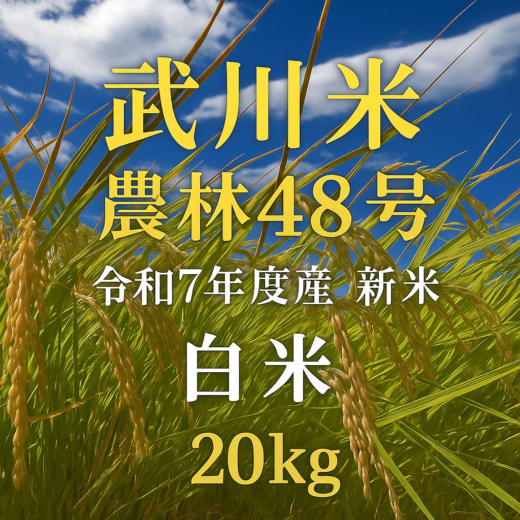 武川米 農林48号 20kg 白米 新米 令和7年度産山梨県北杜市武川町産 農家直送 お米 20キロ
