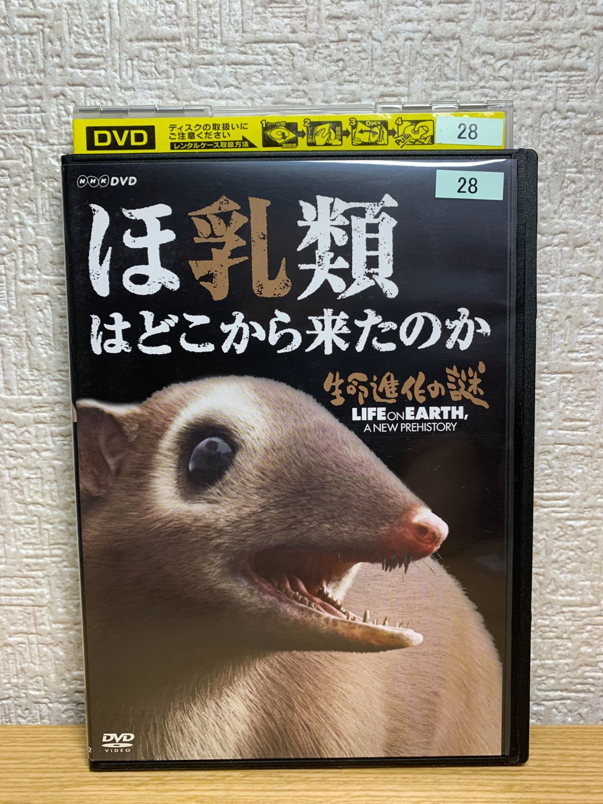 生命進化の謎 LIFE ON EARTH A NEW PREHISTORY DVD-BOX - ドキュメンタリー