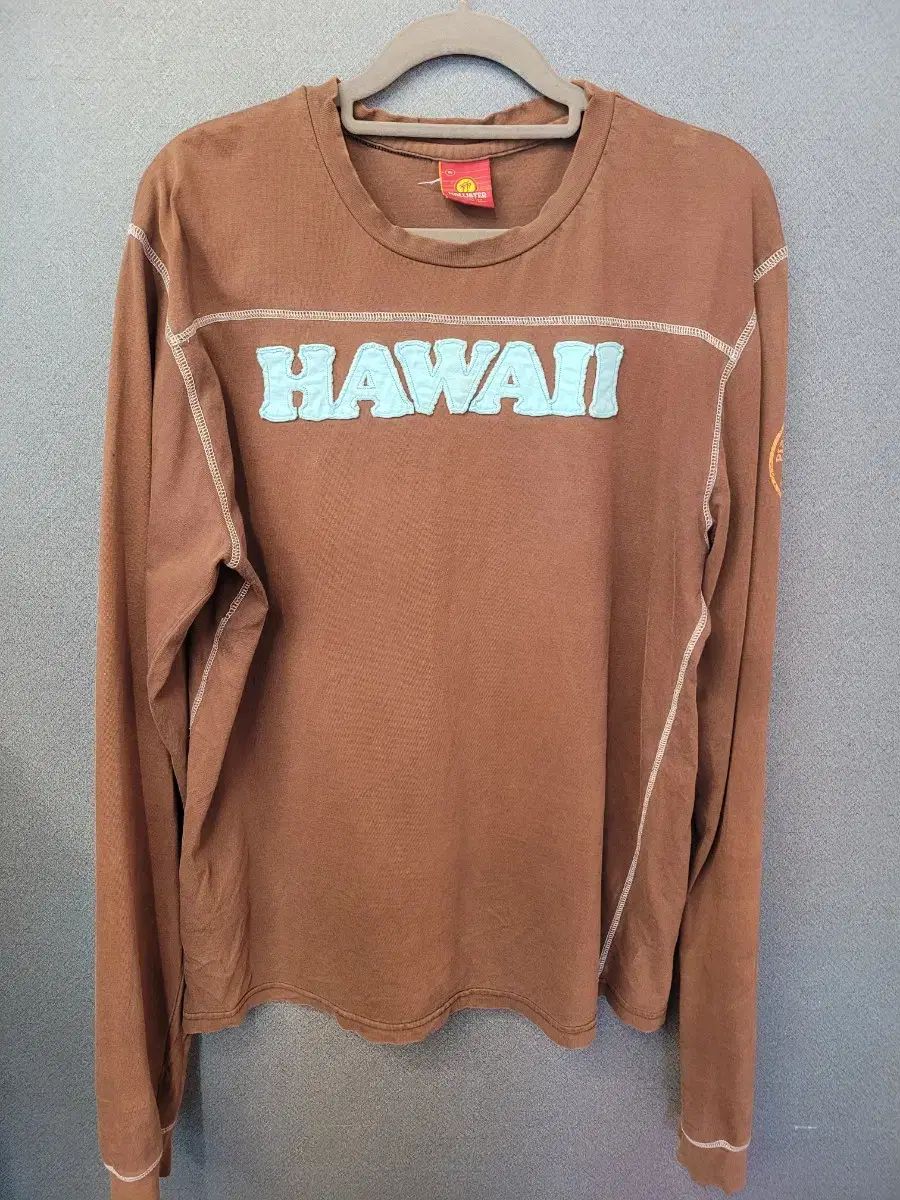 Hollister(ホリスター) Tシャツ (春 (秋用)