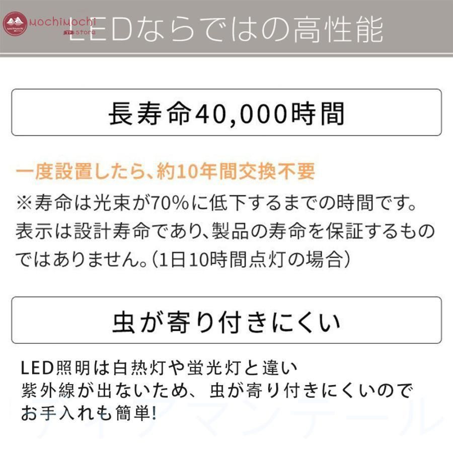 天井照明