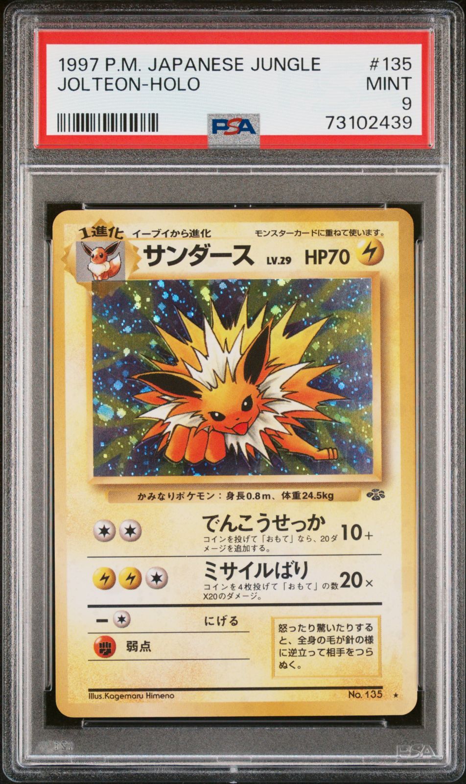 千葉激安サンダース　旧裏　PSA9 その他