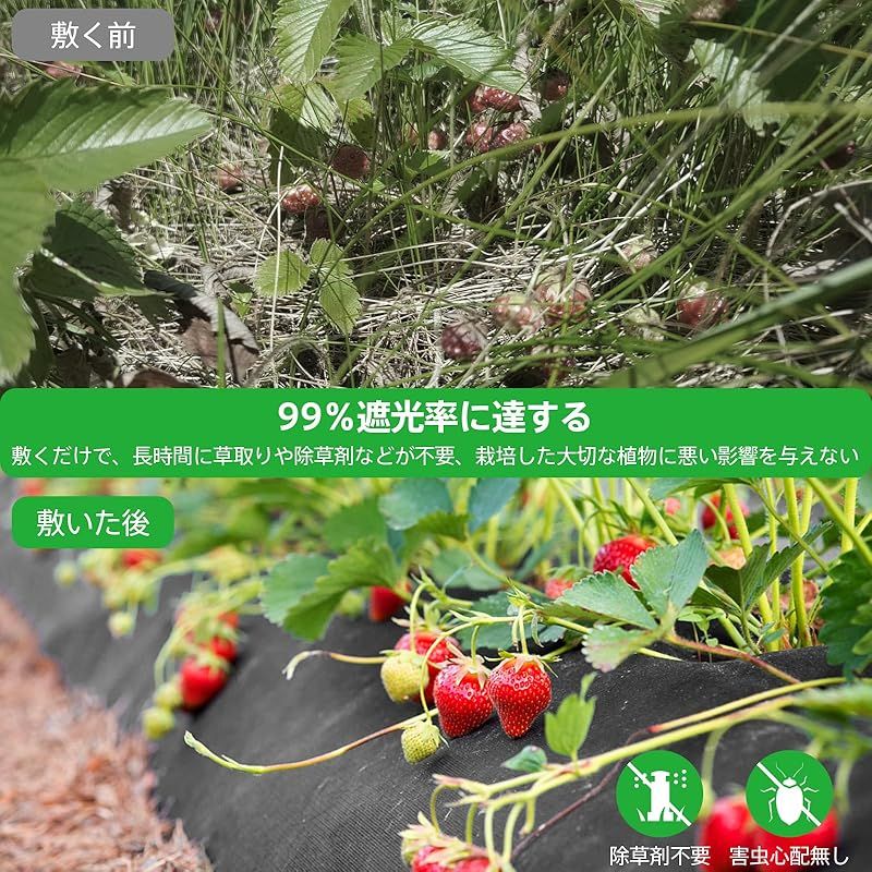 庭 畑