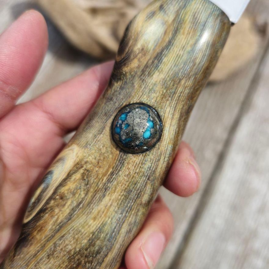 虹彩珊瑚のマキリ ペルシアンターコイズ