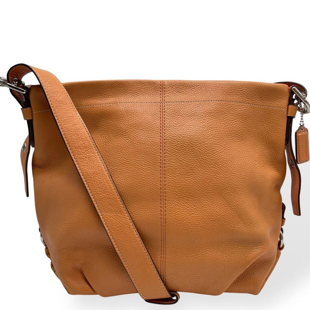 希少カラー✨コーチ アクセサリーポーチ ワンショルダー レザー スエード アクセサリーポーチ 希少カラー✨️ ワンショルダーバッグ Coach