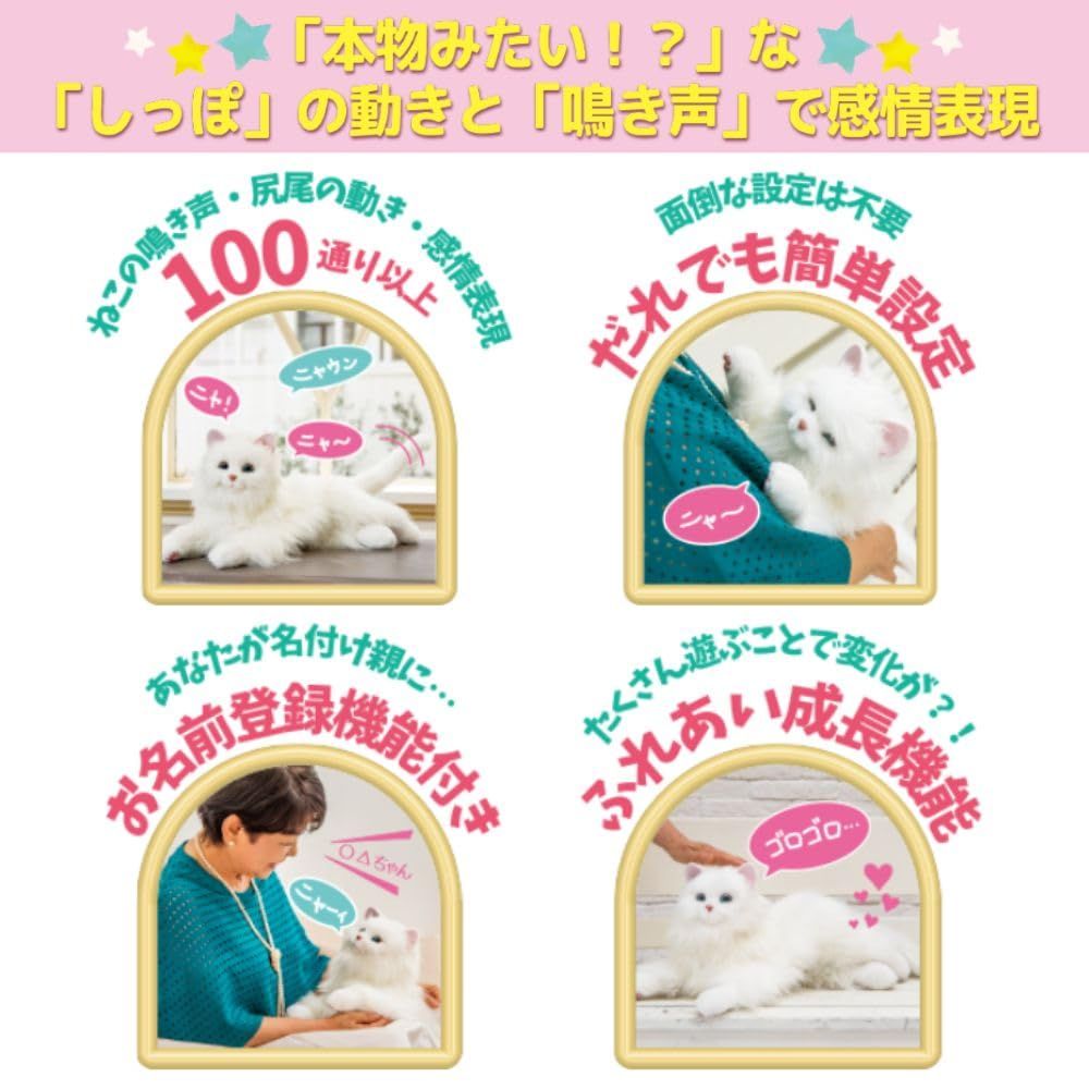 ホワイト