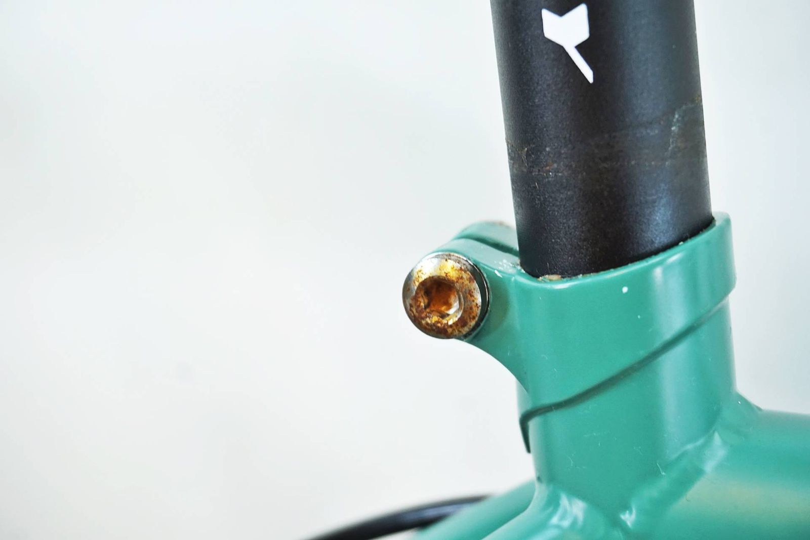 EXPAT 2020年モデル