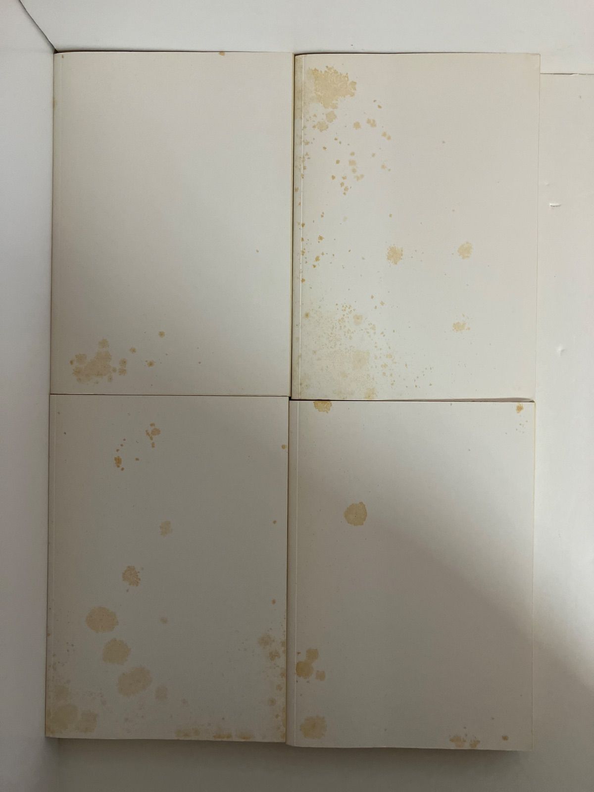 チェーザレ 破壊の創造者 全13巻 完結セット